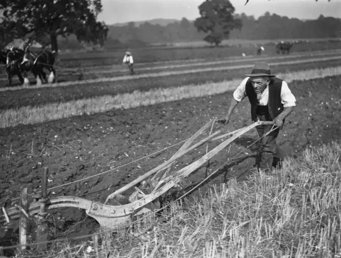Framed Print : Man Ploughing Framed Print : Man Ploughing