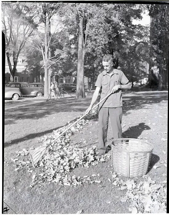 Framed Print : Man Raking Leaves Framed Print : Man Raking Leaves