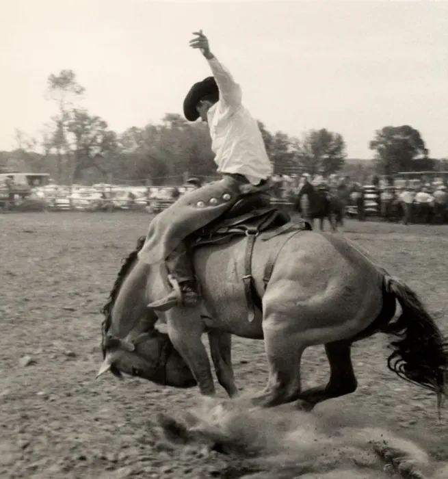 Framed Print : Man riding bucking bronco