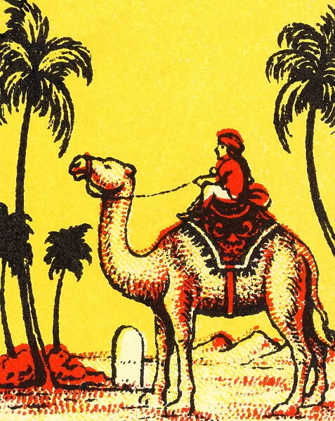 Man Riding a Camel