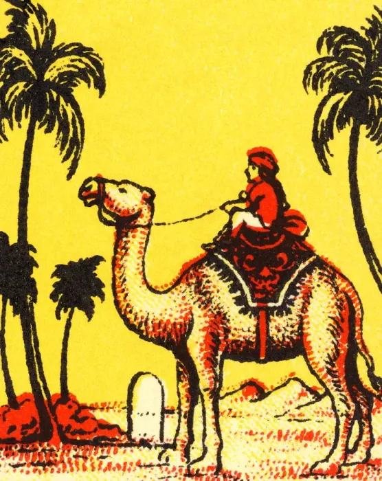 Framed Print : Man Riding a Camel Framed Print : Man Riding a Camel