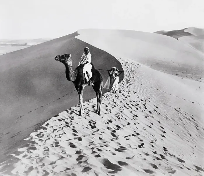 Framed Print : Man Riding a Camel in the Desert Framed Print : Man Riding a Camel in the Desert