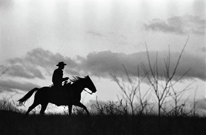 Framed Print : Man Riding a Horse at Dawn Framed Print : Man Riding a Horse at Dawn