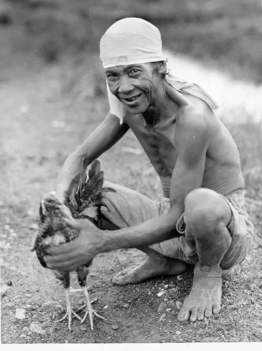 Framed Print : Man With His Rooster In The Philippines