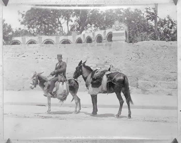 Framed Print : Man Sitting on Donkey With Horse Behind Framed Print : Man Sitting on Donkey With Horse Behind