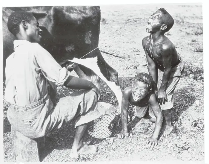 Framed Print : Man Squirting Cow's Milk at Children