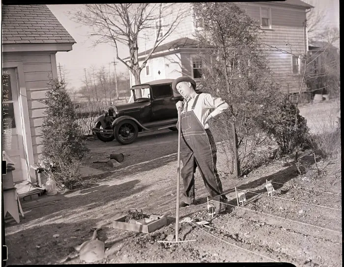 Framed Print : Man Stands with Rake Near Garden Framed Print : Man Stands with Rake Near Garden