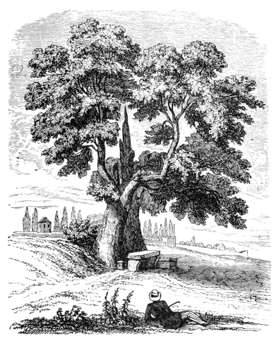 Framed Print : Man under tree Framed Print : Man under tree
