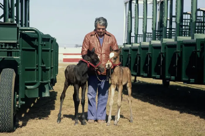 Framed Print : Man With Twin Foals Framed Print : Man With Twin Foals