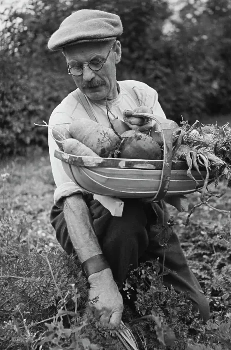 Framed Print : A Man With Vegetables Framed Print : A Man With Vegetables