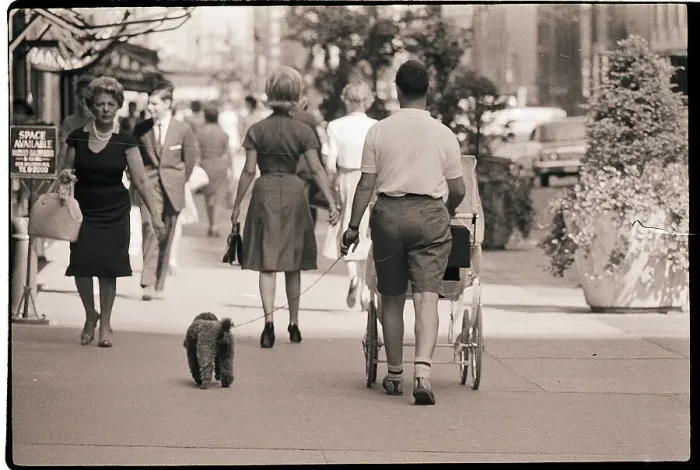 Framed Print : Man Walk Dog and Baby Carriage Framed Print : Man Walk Dog and Baby Carriage