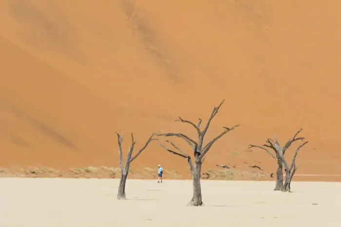 Framed Print : One man walking in the Deadvlei salt pan with a giant dune in the backdrop. Sossuvlei, Namibia Framed Print : One man walking in the Deadvlei salt pan with a giant dune in the backdrop. Sossuvlei, Namibia