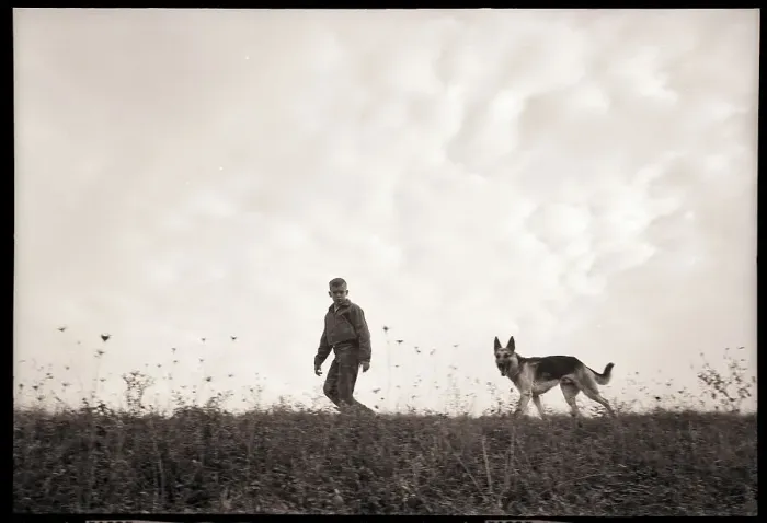 Framed Print : Man Walking Dog Framed Print : Man Walking Dog