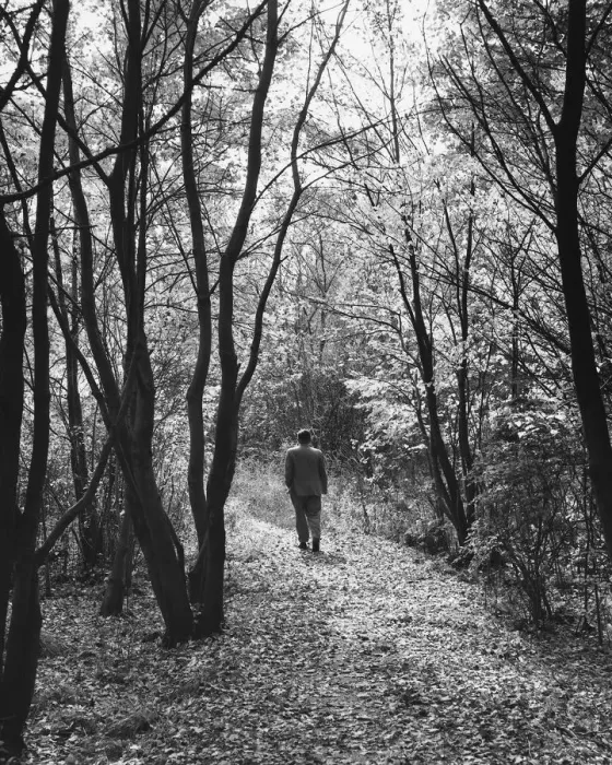 Framed Print : Man walking on path in forest Framed Print : Man walking on path in forest