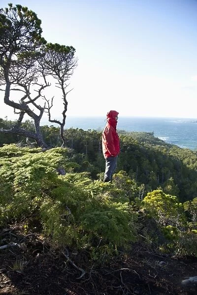 A Man Wearing A Red Jacket Looks Out At The View Of Cox Bay Near Tofino