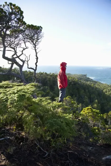Framed Print : A Man Wearing A Red Jacket Looks Out At The View Of Cox Bay Near Tofino Framed Print : A Man Wearing A Red Jacket Looks Out At The View Of Cox Bay Near Tofino