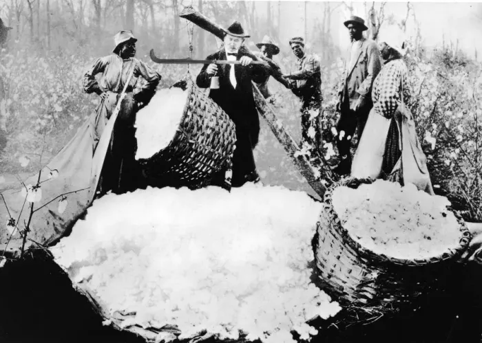 Framed Print : Man Weighs Cotton Bales Framed Print : Man Weighs Cotton Bales