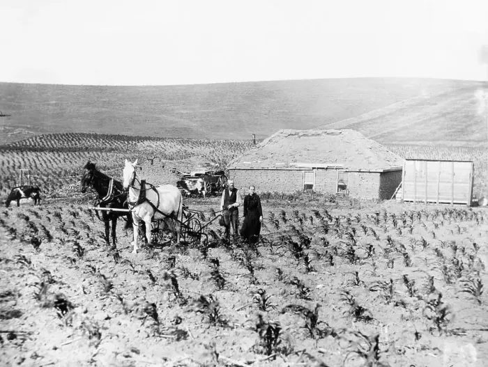 Framed Print : Man and Woman Farming Framed Print : Man and Woman Farming