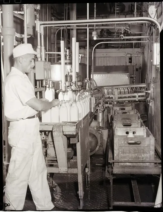 Framed Print : Man Working In Dairy Farm