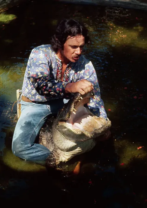 Framed Print : Man Wrestling Alligator Framed Print : Man Wrestling Alligator