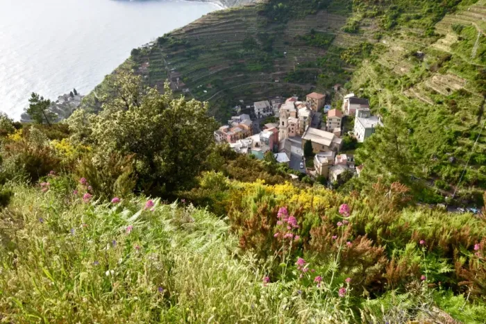 Framed Print : Manarola - Cinque Terre, Italy Framed Print : Manarola - Cinque Terre, Italy
