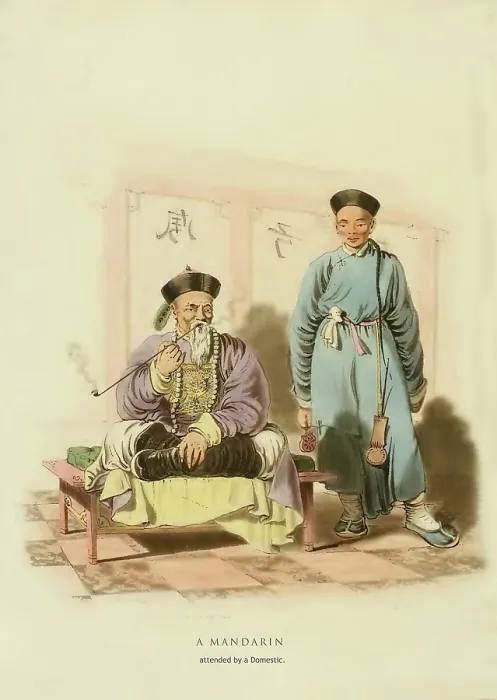 Framed Print : A Mandarin