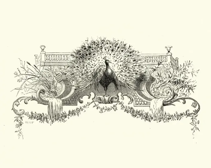 Framed Print : Manon Lescaut - Peacock Framed Print : Manon Lescaut - Peacock