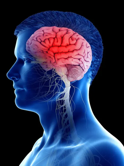 Framed Print : Man's brain, illustration