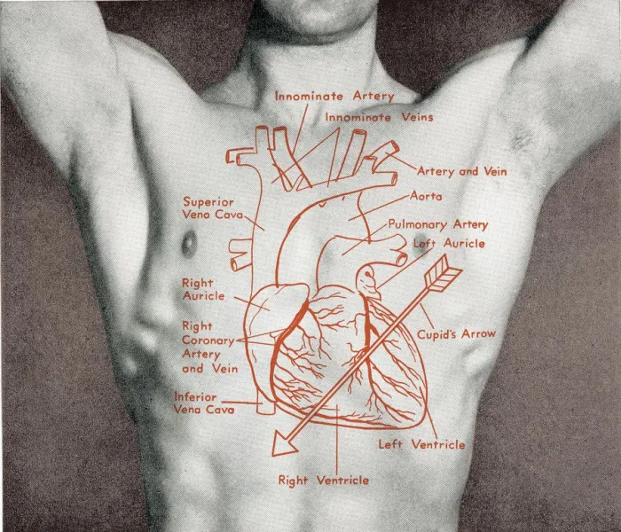 Framed Print : Mans torso Framed Print : Mans torso