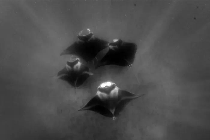 Framed Print : Manta Formation