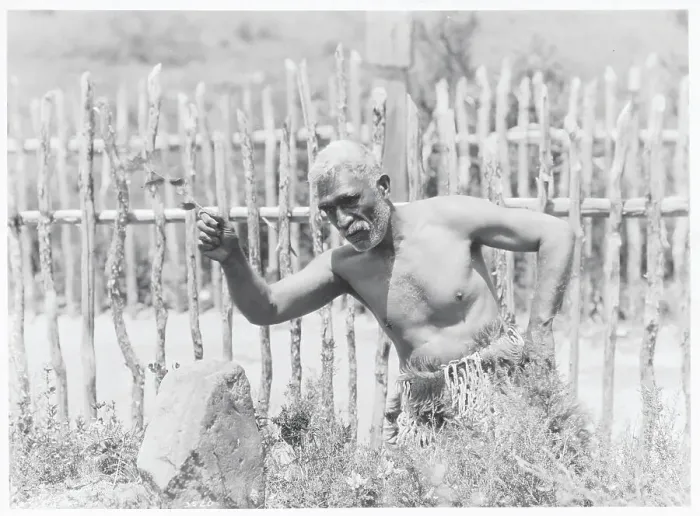 Framed Print : Maori Waving Branch Over Altar Framed Print : Maori Waving Branch Over Altar