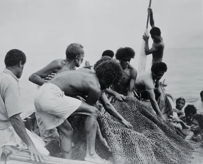 Framed Print : Maoris Hauling in Fish Nets Framed Print : Maoris Hauling in Fish Nets