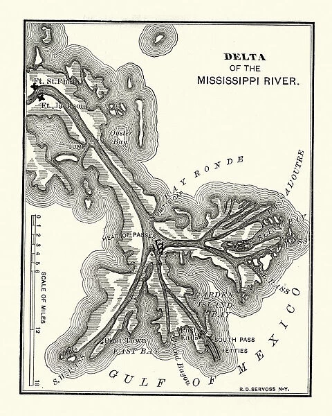 Map of the Delta of the Mississippi river, 19th Century