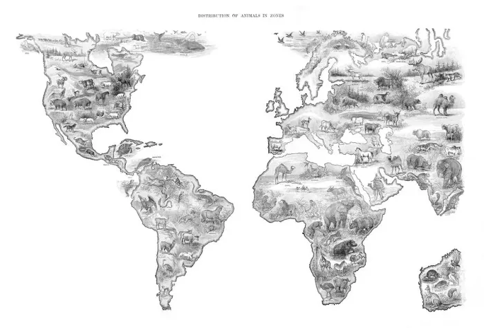 Framed Print : Map Distribution of animal in the world 1892 Framed Print : Map Distribution of animal in the world 1892