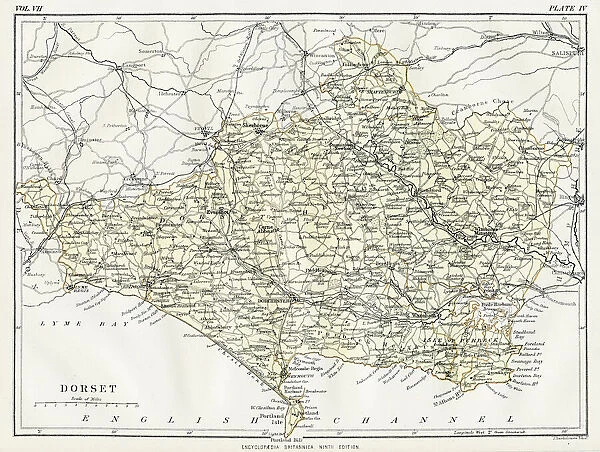 Map of Dorset 1883. Encyclopedia Britannica 9th Edition New York Samuel L