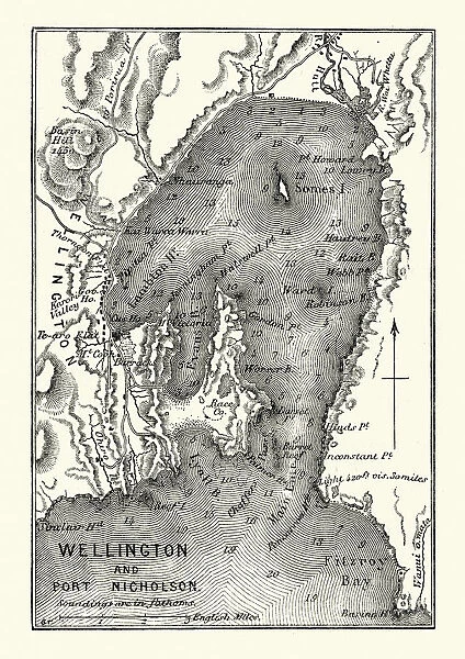 Map of Wellington and Port Nicholson, New Zealand, 19th Century