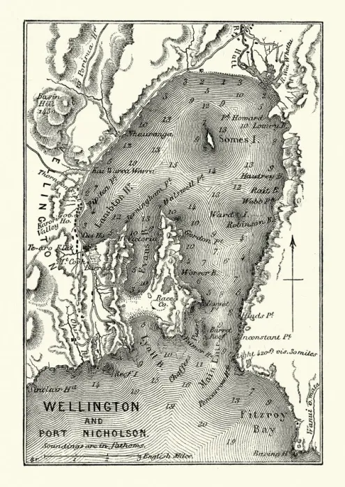 Framed Print : Map of Wellington and Port Nicholson, New Zealand, 19th Century Framed Print : Map of Wellington and Port Nicholson, New Zealand, 19th Century