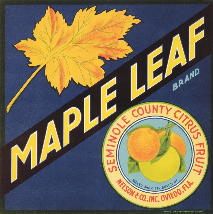 Framed Print : Maple Leaf Brand Framed Print : Maple Leaf Brand