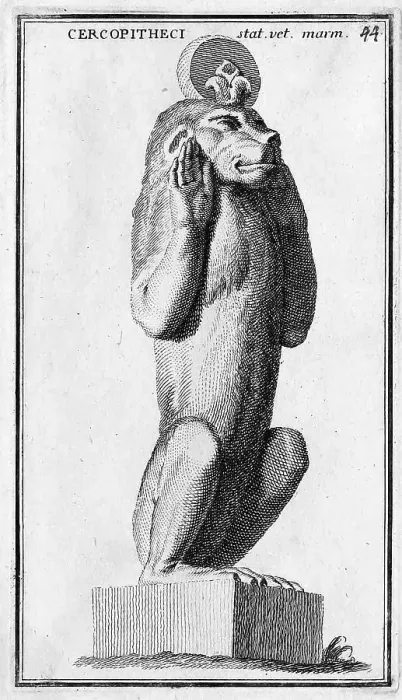 Framed Print : A marble statue of a monkey from the Museum of the Capitol, historic Rome, Italy, digital reproduction of an 18th century original, original date unknown