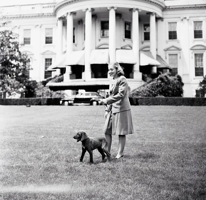 Framed Print : Margaret Truman Walking Her Dog Framed Print : Margaret Truman Walking Her Dog