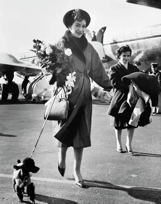 Framed Print : Maria Callas and Dog Arriving at Airport Framed Print : Maria Callas and Dog Arriving at Airport