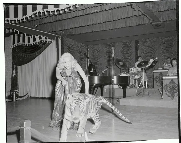 Framed Print : Marilyn Maxwell Posing with Her Tiger Framed Print : Marilyn Maxwell Posing with Her Tiger