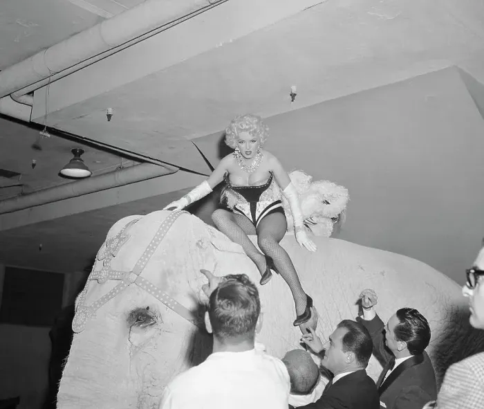 Framed Print : Marilyn Monroe Riding an Elephant Framed Print : Marilyn Monroe Riding an Elephant