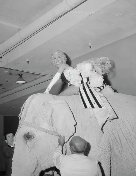 Marilyn Monroe Riding Elephant Print. Art Prints, Posters