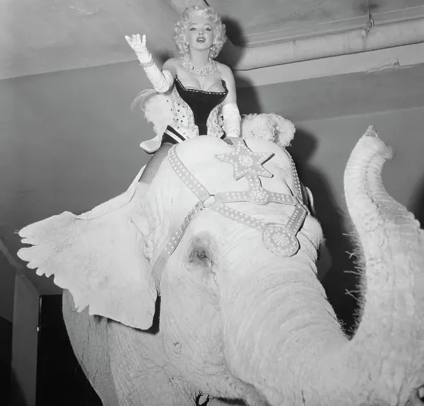 Marilyn Monroe Riding Elephant Print - 1950s Circus Premiere. Art