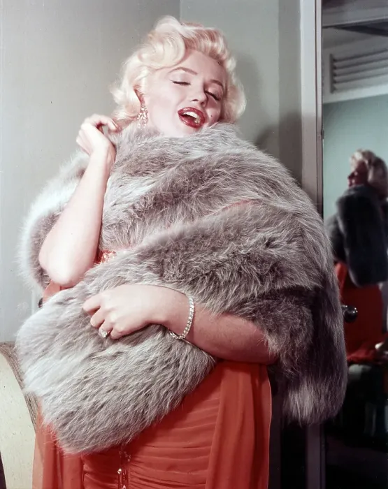 Framed Print : Marilyn Monroe Wearing Fur Framed Print : Marilyn Monroe Wearing Fur