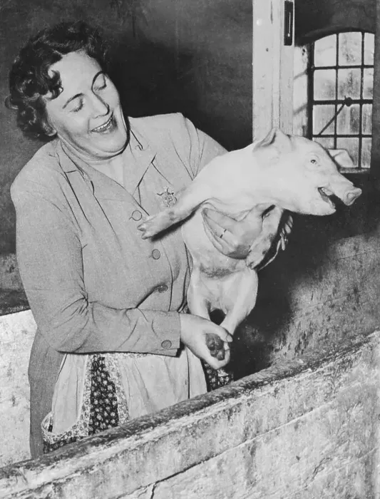Framed Print : Marilyn Monroe's Half Sister Holding Piglet