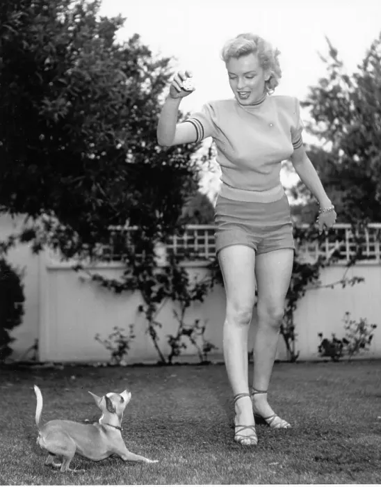 Framed Print : Marilyn Photo Session In Beverly Hills Framed Print : Marilyn Photo Session In Beverly Hills