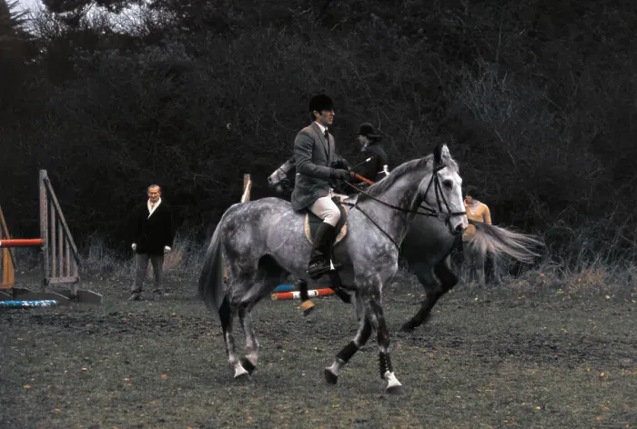 Framed Print : Mark Phillips Mounted on the Queens Horse Framed Print : Mark Phillips Mounted on the Queens Horse