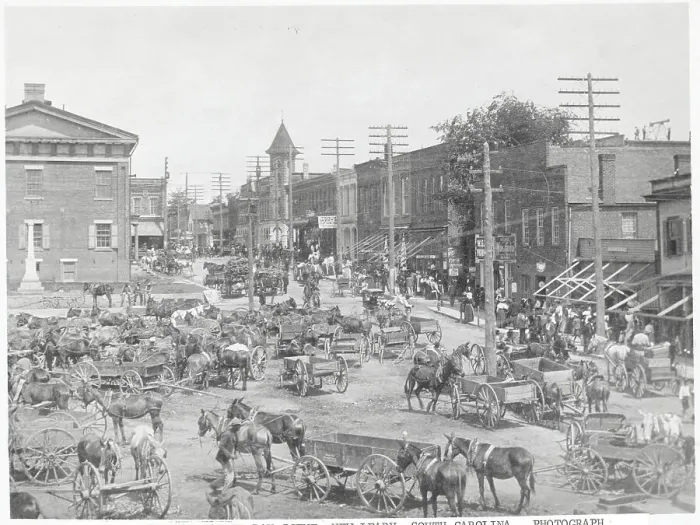 Framed Print : Market Scene In South Carolina 19Th Cent